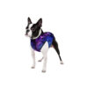 Курточка для собак WAUDOG Clothes малюнок "NASA21" - Image 31
