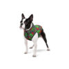 Курточка для собак WAUDOG Clothes малюнок "Калина" - Image 19