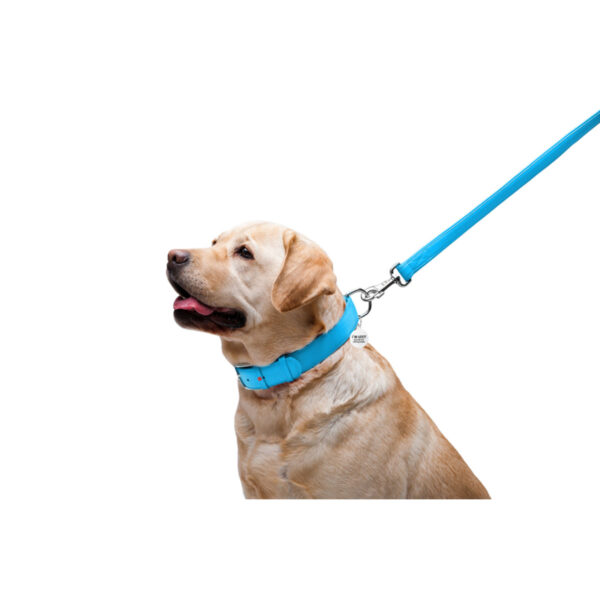 Повідець для собак шкіряний WAUDOG Glamour, блакитний - Image 10