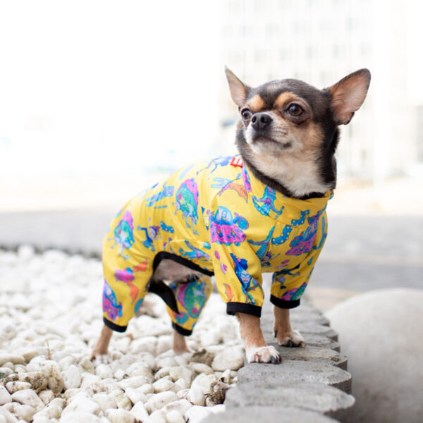 Вітровка для собак WAUDOG Clothes малюнок "Рік та Морті 3" - Image 9