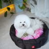 Лежанка для собак WAUDOG Relax малюнок "Бетмен 1" - Image 21