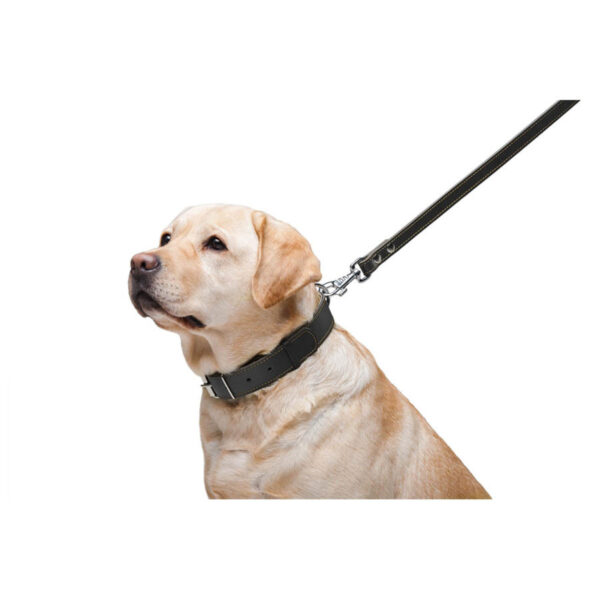 Повідець "CoLLaR" подвійний з прошивкою, чорний - Image 8