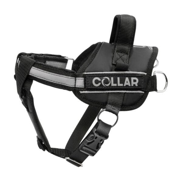 Шлея "Dog Extreme" "POLICE" №2. В:40-60см, чорний
