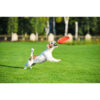 Ігрова тарілка для апортировки PitchDog - Image 14