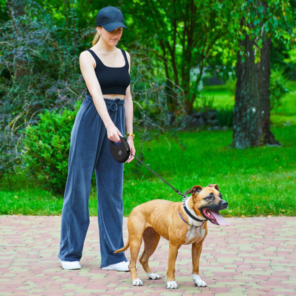 Повідець-рулетка для собак WAUDOG R-leash з контейнером для пакетів світловідбивна стрічка - Image 48