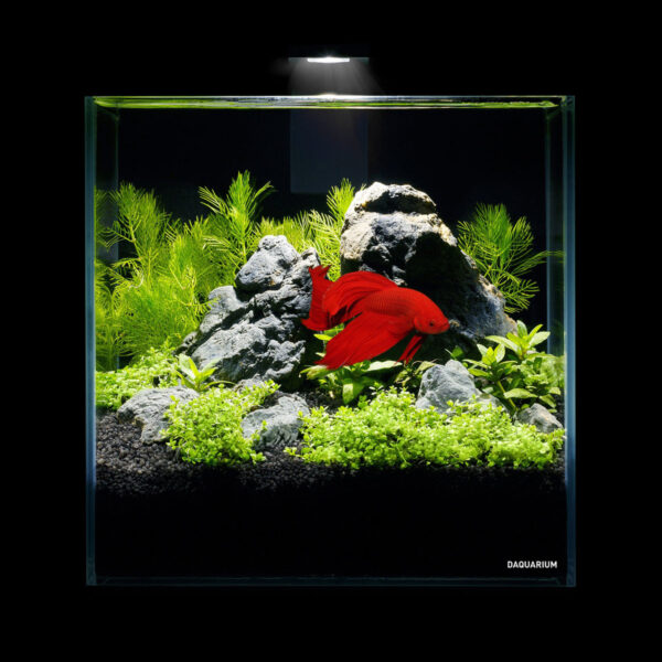 Комплект Pico Set 5 літрів - Image 6