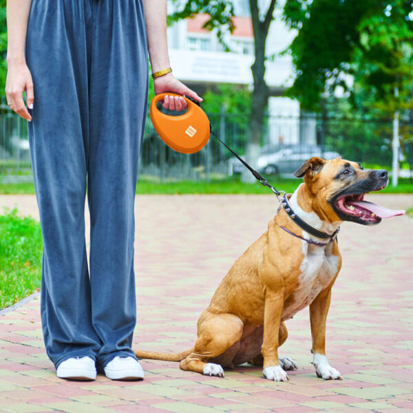 Повідець-рулетка для собак WAUDOG R-leash з контейнером для пакетів світловідбивна стрічка - Image 20