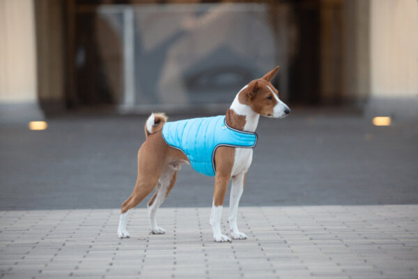 Куртка-накидка для собак AiryVest, блакитний - Image 25