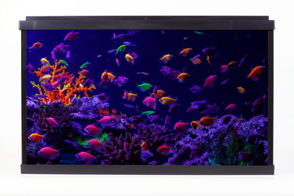 Р АКВАРIУМ PalaceGlow WPG 40 (515х260х320. 40л, фiльтр, свет LED бiлий/місячний ), шт