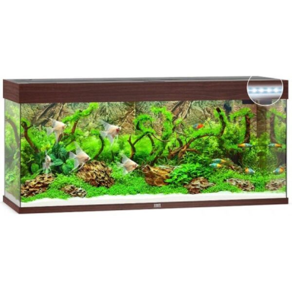 Акваріум Juwel прямий Rio 240 LED, 121х55х41 см, 240 л