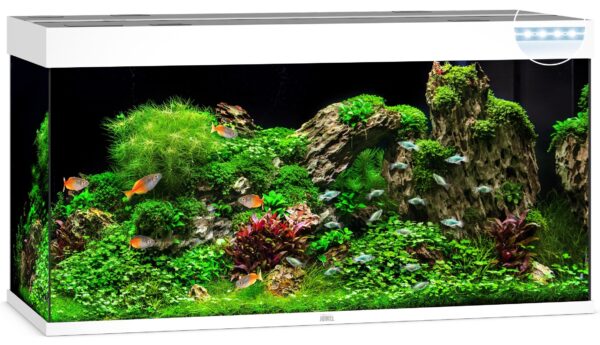 Акваріум Juwel прямий Rio 350 LED, 121х66х51 см, 350 л - Image 3