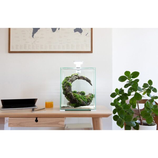 Акваріум Aquael Smart Day & Night для креветок білий - Image 3