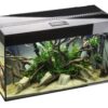 Акваріум Aquael Glossy 80 прямий, чорний, 125 л
