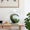 Акваріум Aquael Smart Day & Night для креветок, чорний, 30 л - Image 3