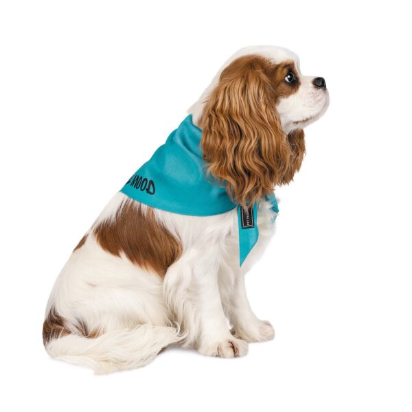 Бандана Pet Fashion «Weekend» для собак - Image 2