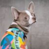 Борцівка Pet Fashion «Cool» для собак, з принтом - Image 4