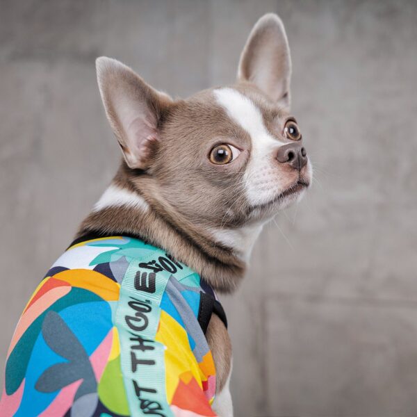 Борцівка Pet Fashion «Cool» для собак, з принтом - Image 4