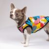 Борцівка Pet Fashion «Cool» для собак, з принтом - Image 5