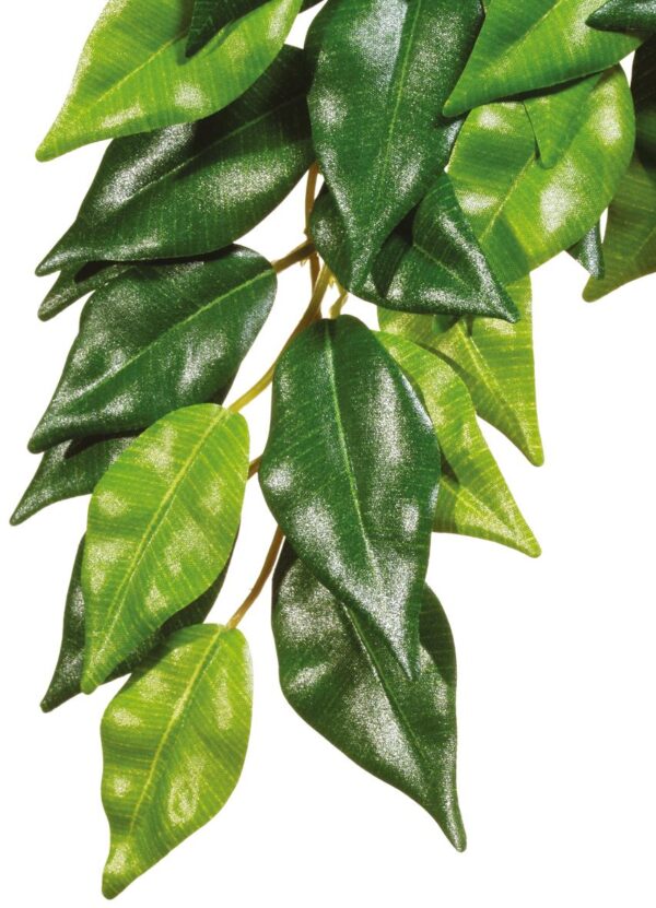 Рослина Exo Terra Ficus для тераріума, середня 40 см