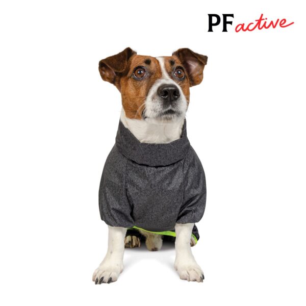 Дощовик Pet Fashion «Rain» для собак - Image 4