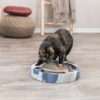 Дряпка Trixie Барабан з двома кульками та котячою м'ятою, картон, d 33×5.5 см (блакитна) - Image 4
