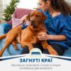 Фурмінатор FURminator для собак з короткою шерстю - Image 4