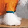 Футболка Pet Fashion «Art» для собак, помаранчева - Image 3