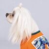 Футболка Pet Fashion «Art» для собак, помаранчева - Image 5
