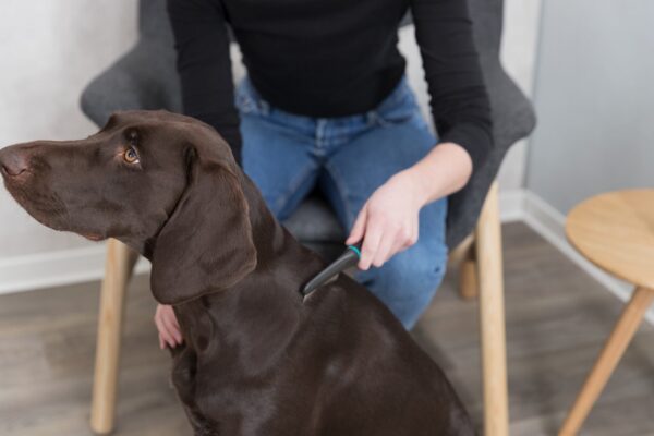 Гребінець Trixie для пошуку бліх та вошей, металевий з пластиковою ручкою, 21 см - Image 3