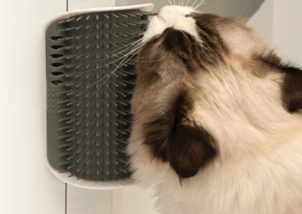 Іграшка-пуходерка Catit Senses Self Groomer 2.0 для кота, з котячою мятою (пластик) - Image 5