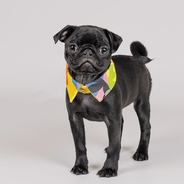 Комірець Pet Fashion «Bright» для собак, жовтий - Image 2
