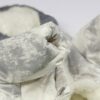 Костюм Pet Fashion Man для собак, зелений - Image 3