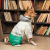 Костюм Pet Fashion Man для собак, зелений - Image 6