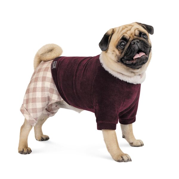 Костюм Pet Fashion «Spell» для собак - Image 2
