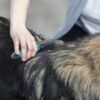 Ковтуноріз Trixie для собак з короткими загнутими зубчиками, металевий з пластиковою ручкою, 18 см - Image 2