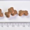 Ласощі для цуценят Brit Care Dog Crunchy Cracker Puppy Insects для росту, комахи, сироватка і пробіотики, 200 г - Image 4