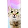 Ласощі Trixie Creamy Snacks для котів, риба, 5 шт/упак, 14 г - Image 2