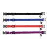 Нашийник Trixie Elastic для котів нейлоновий з дзвіночком (кольори в асортименті) - Image 2