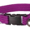 Нашийник Trixie Elastic для котів нейлоновий з дзвіночком (кольори в асортименті) - Image 5