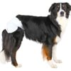Підгузки Trixie для собак 12 шт. XS-XL - Image 3