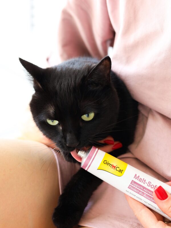 Паста GimCat Every Day Malt-Soft Paste Extra для котів виведення шерсті зі шлунку, 20 г - Image 6