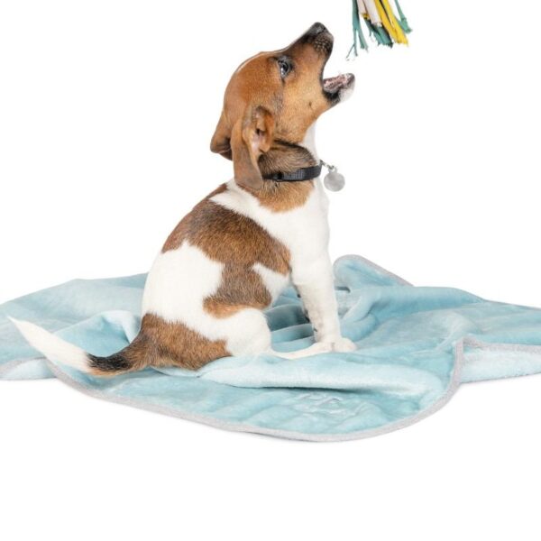 Плед Pet Fashion «Bliss» для собак та цуценят - Image 2