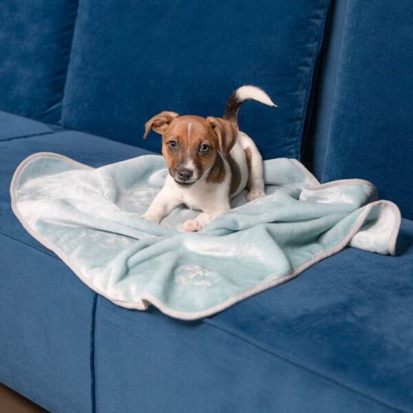 Плед Pet Fashion «Bliss» для собак та цуценят - Image 6