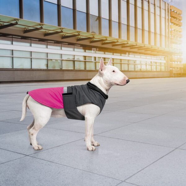 Попона Pet Fashion «Roy» для собак, малиново-сірий - Image 7