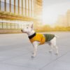 Попона Pet Fashion «Roy» для собак, хакі-гірчиця - Image 7