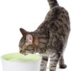 Поїлка-фонтан Catit Fresh & Clear для котів та собак, 3 л (пластик) - Image 4