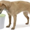 Поїлка-фонтан Catit Fresh & Clear для котів та собак, 3 л (пластик) - Image 5