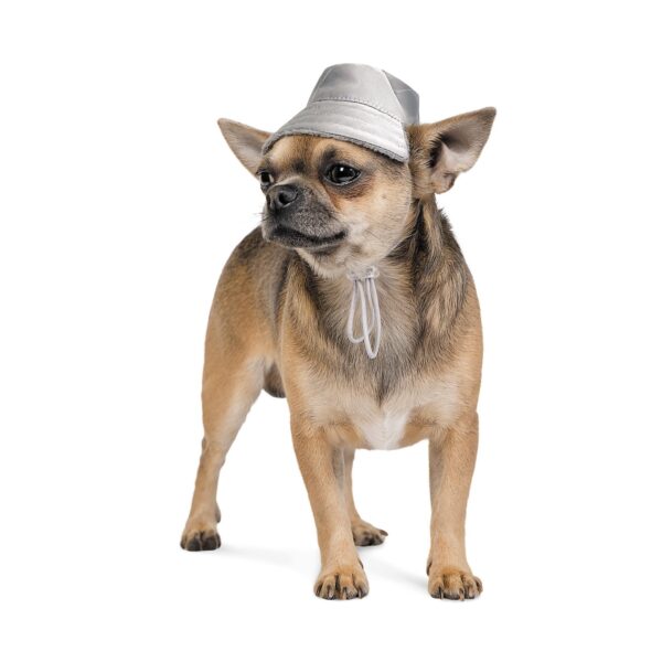 Шапка Pet Fashion «Party» для собак, сіра (зима) - Image 2