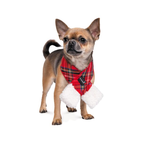 Шарф Pet Fashion «Happy» для собак - Image 2