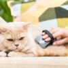 Щітка масажна FURminator для собак та котів, гумова - Image 5